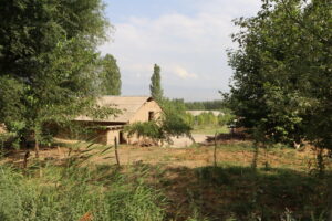 le village de Tongotar 